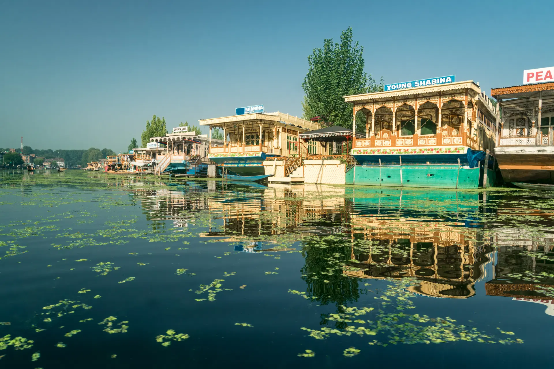 Magical Kashmir Tour